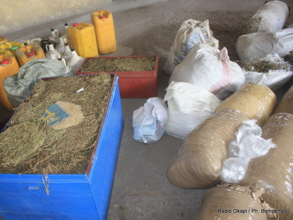 Lire la suite à propos de l’article Montée inquiétante de la consommation de drogues au quartier des Anciens Combattants à Kinshasa